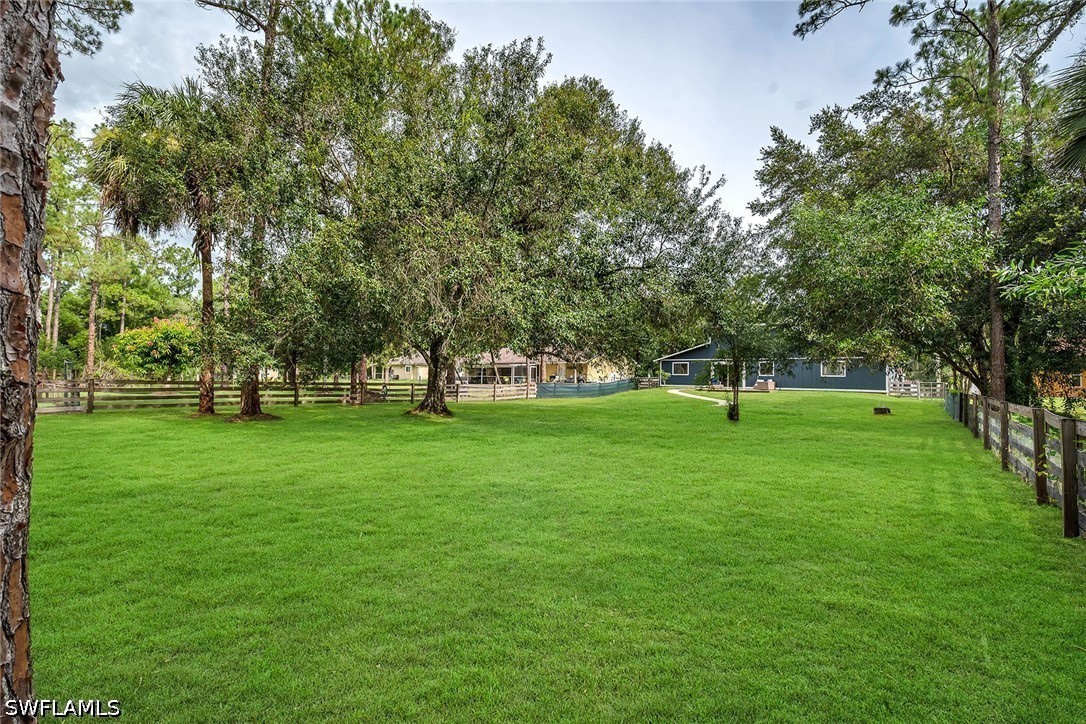 Yard