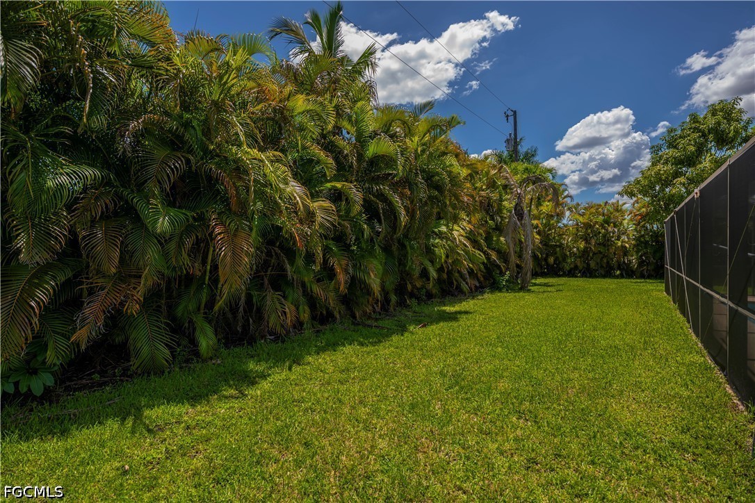 Yard