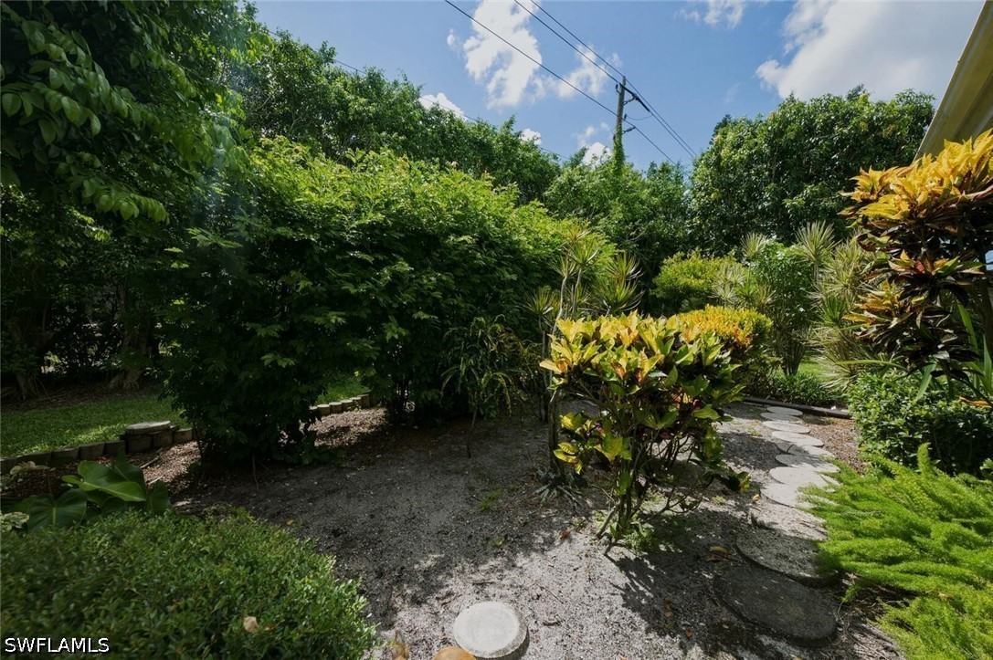 Yard