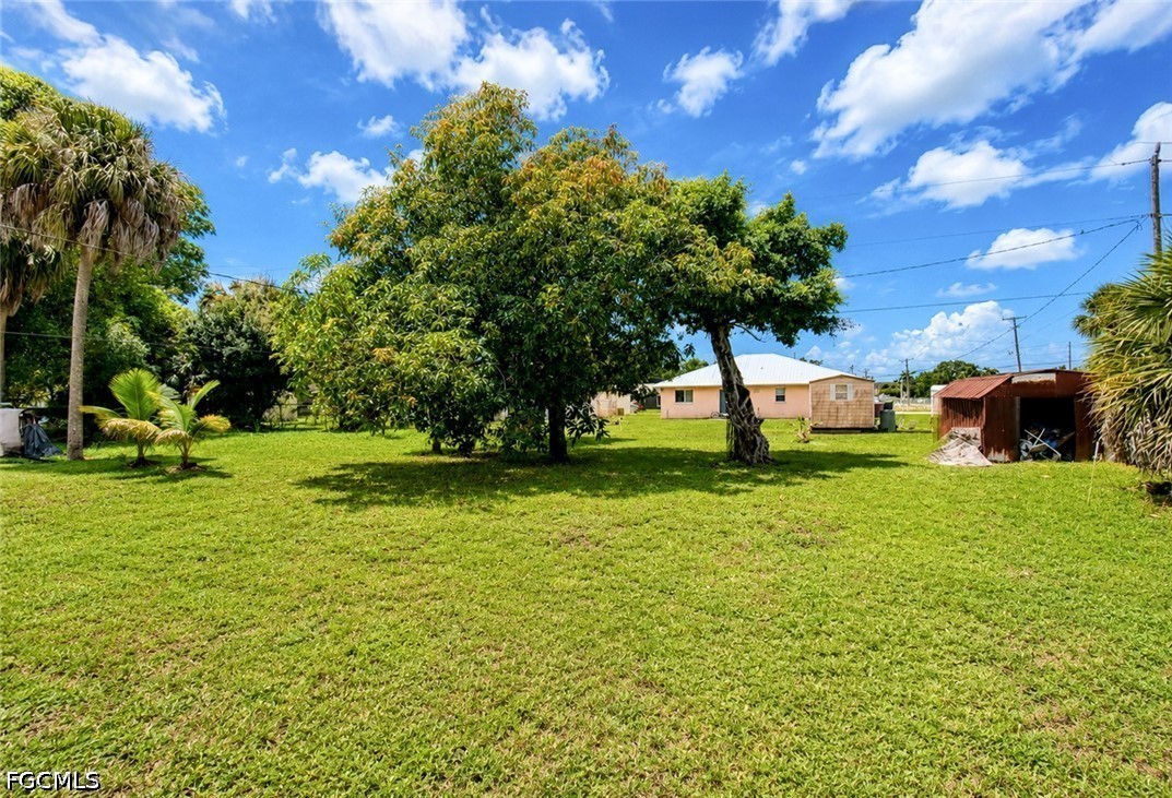 Yard