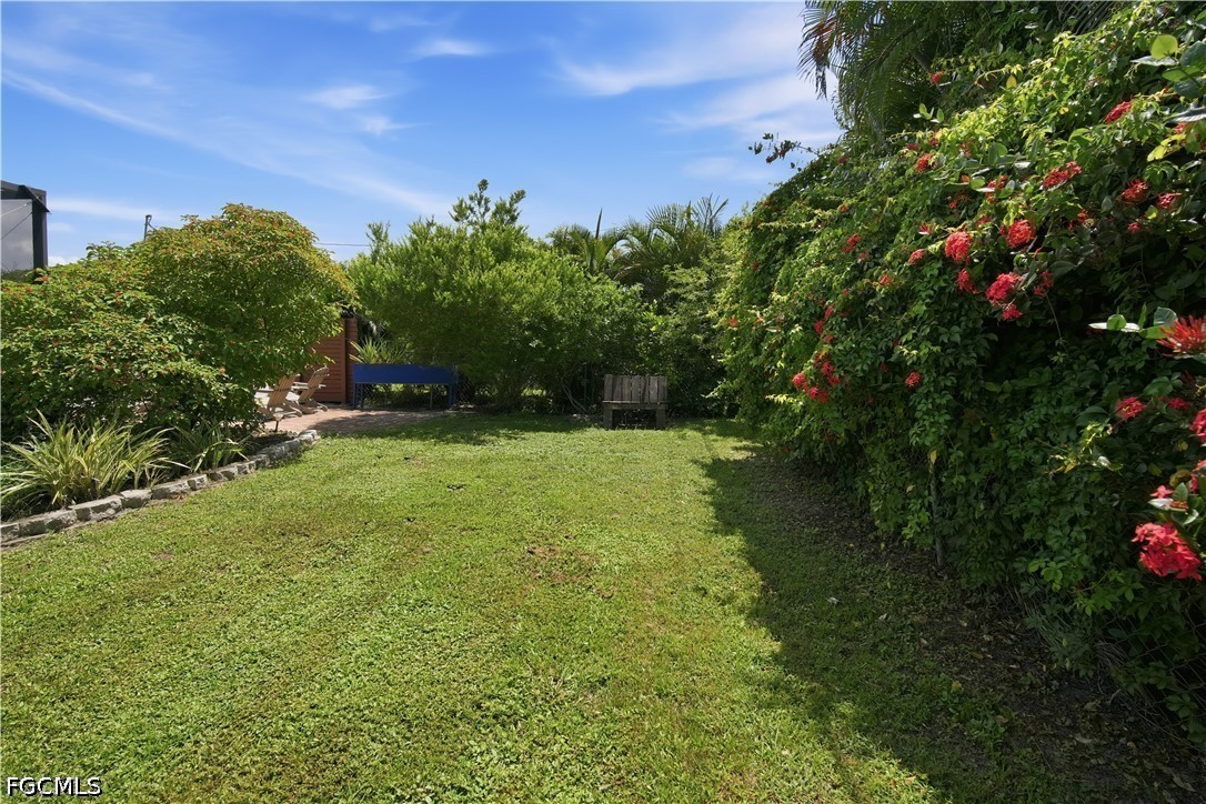 Yard