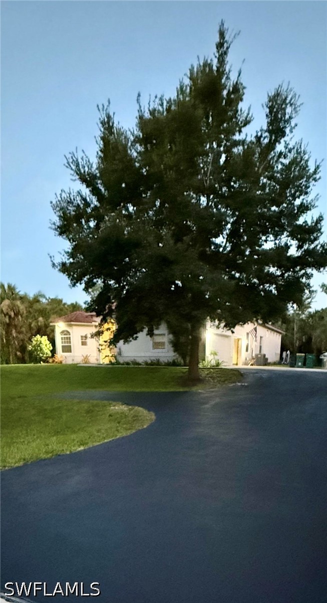 Yard