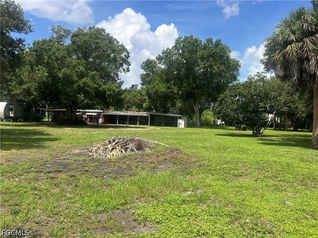 Yard