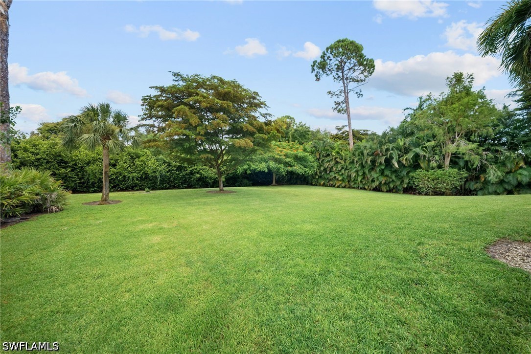 Yard