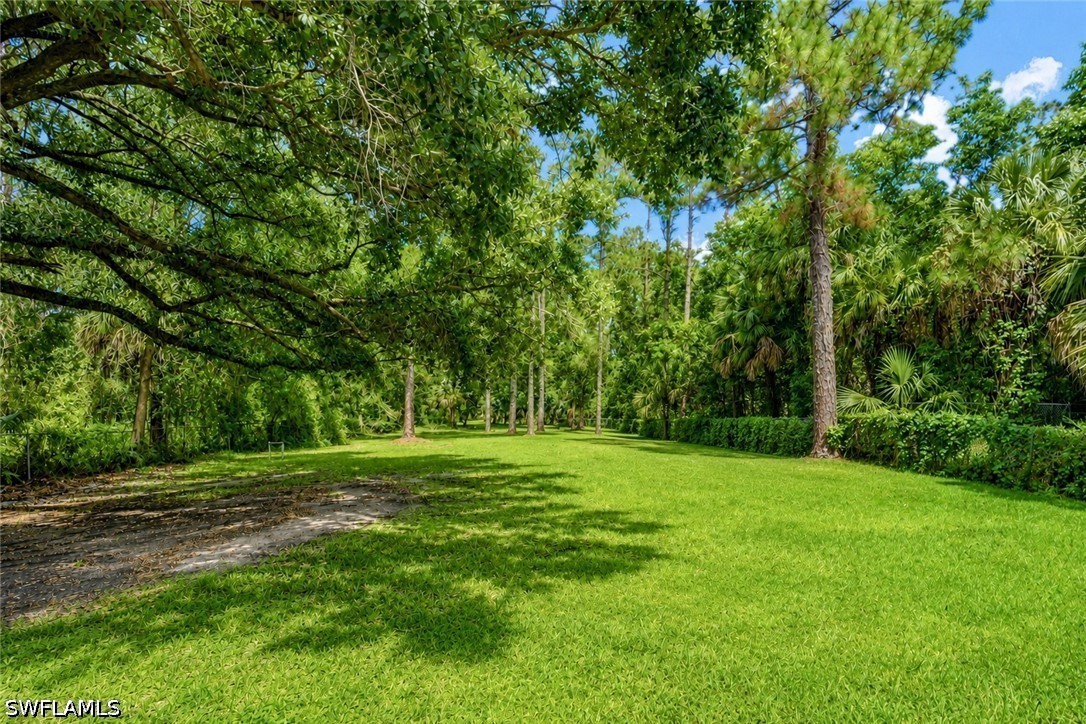 Yard