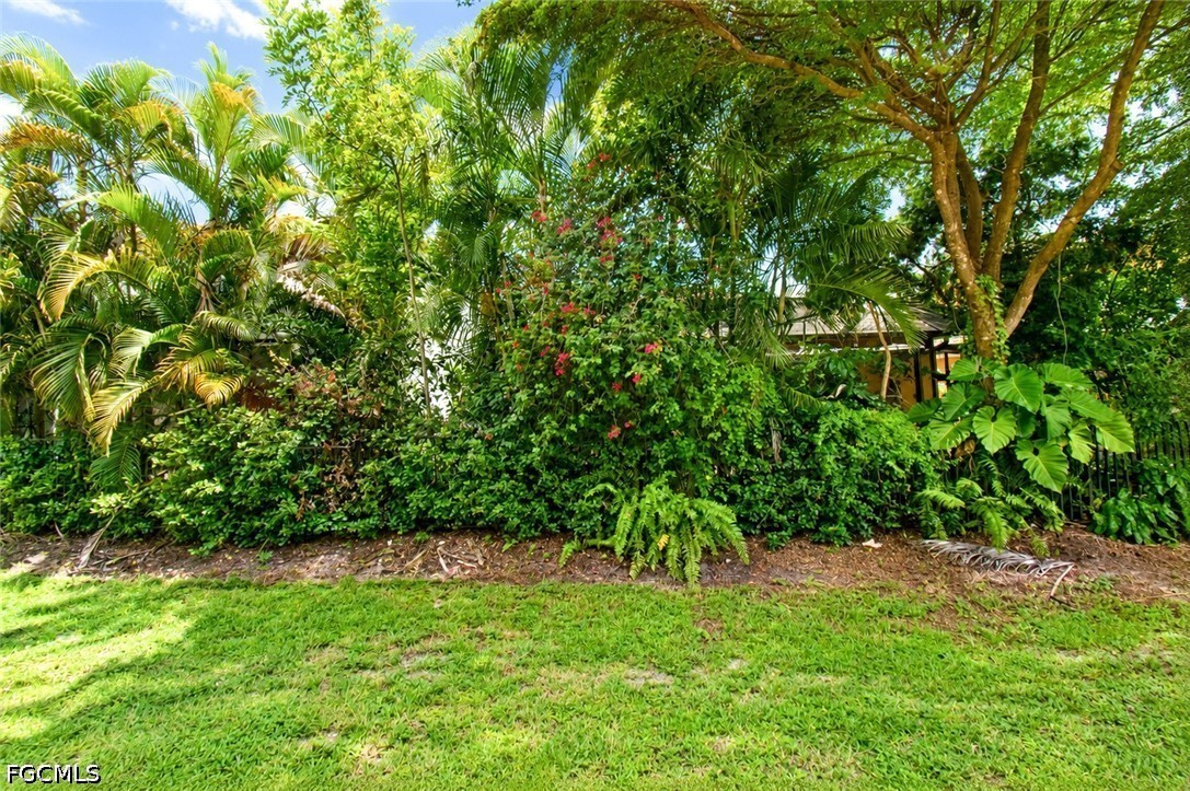 Yard