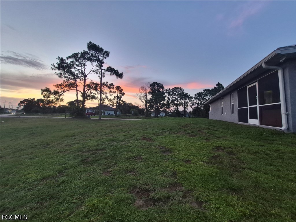 Yard