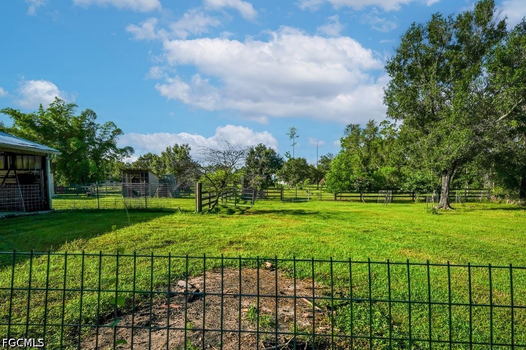 Yard
