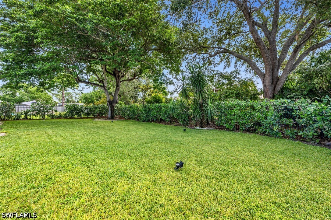 Yard