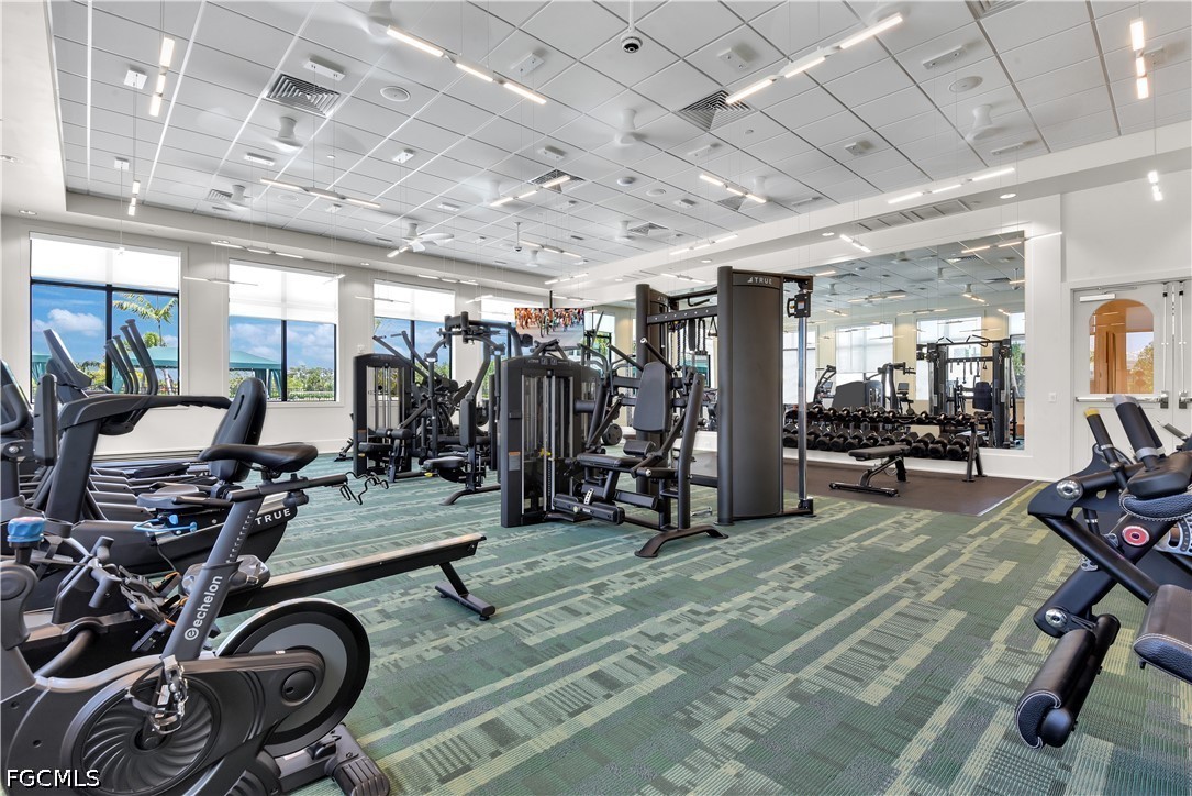 Gym
