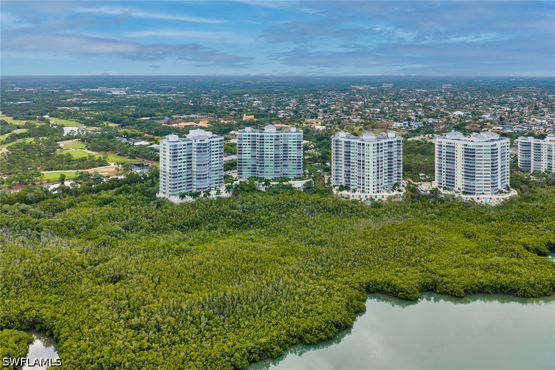 AerialView