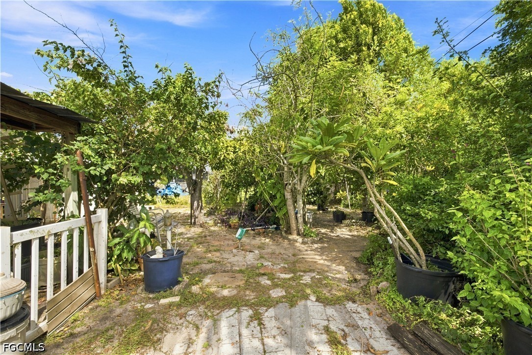 Yard