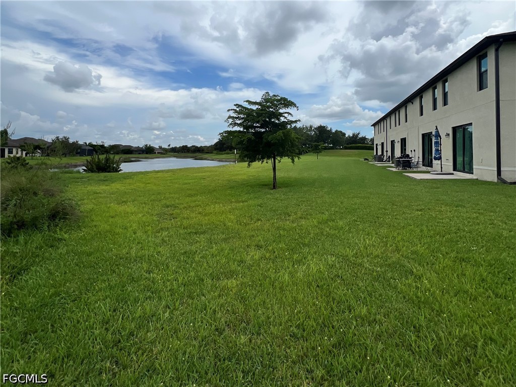 Yard