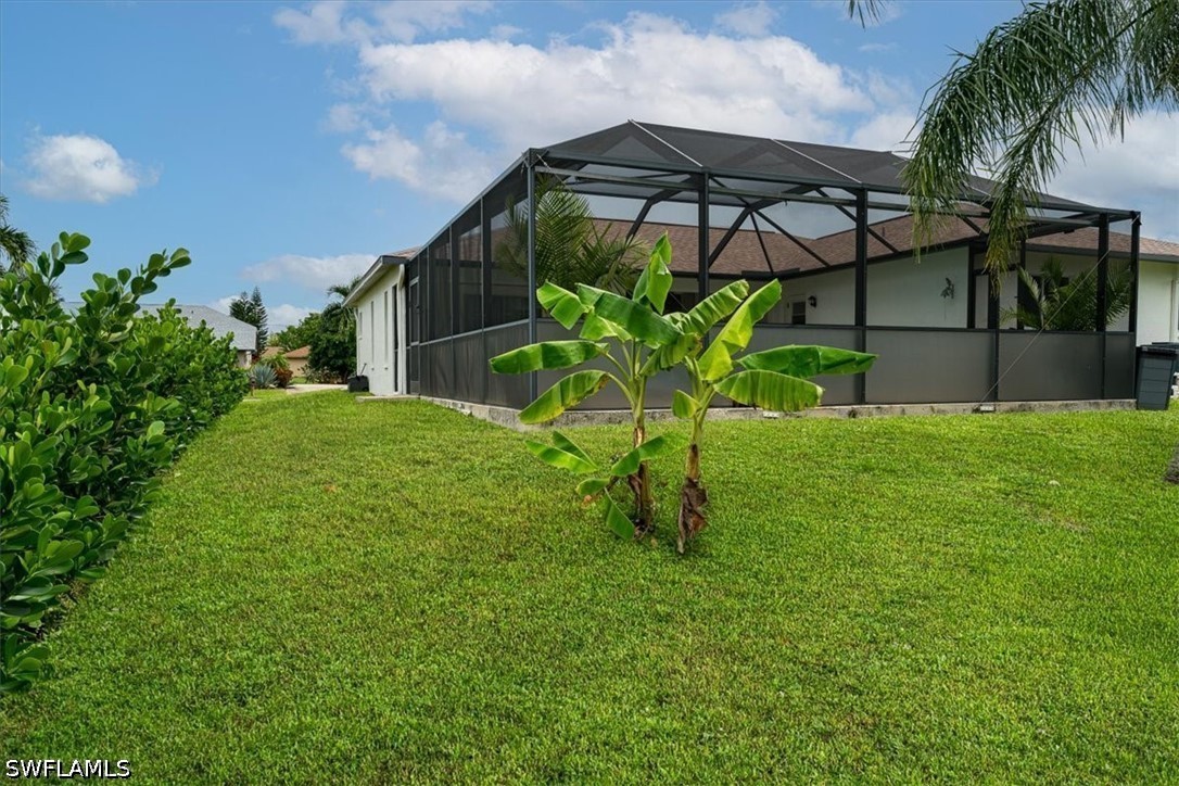 Yard
