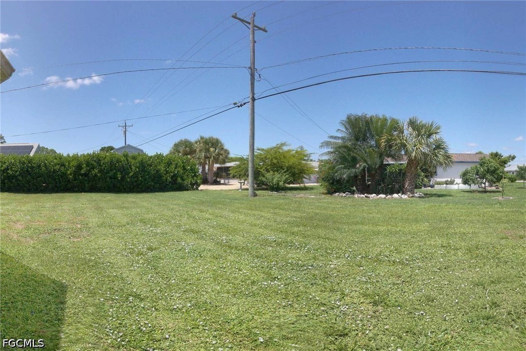 Yard