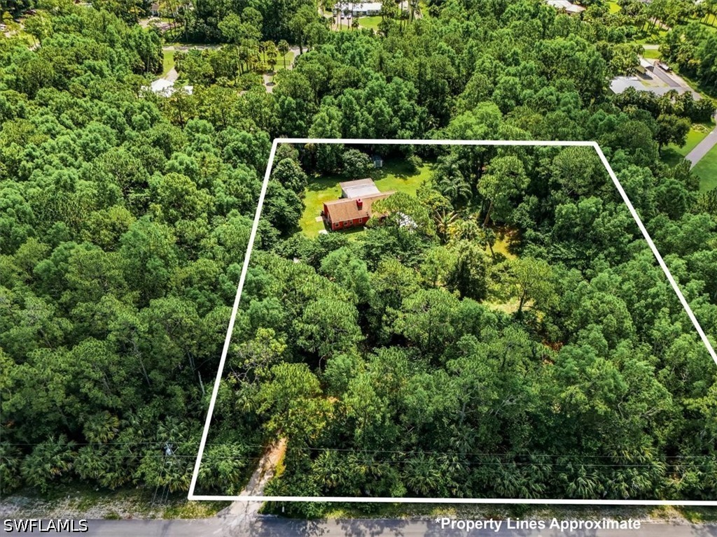 AerialView