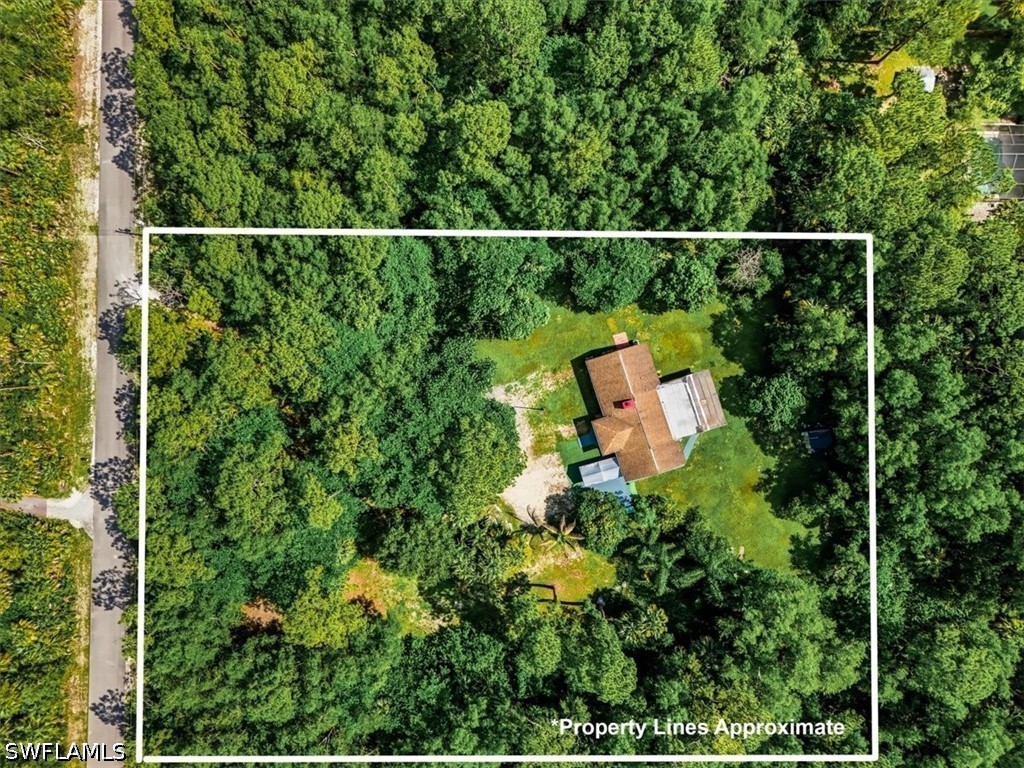 AerialView
