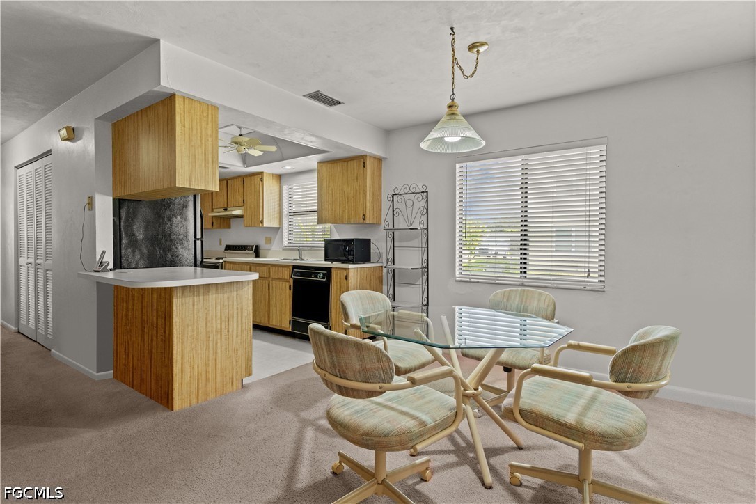 1113 Cape Coral Unit 103, Cape Coral, FL 33914