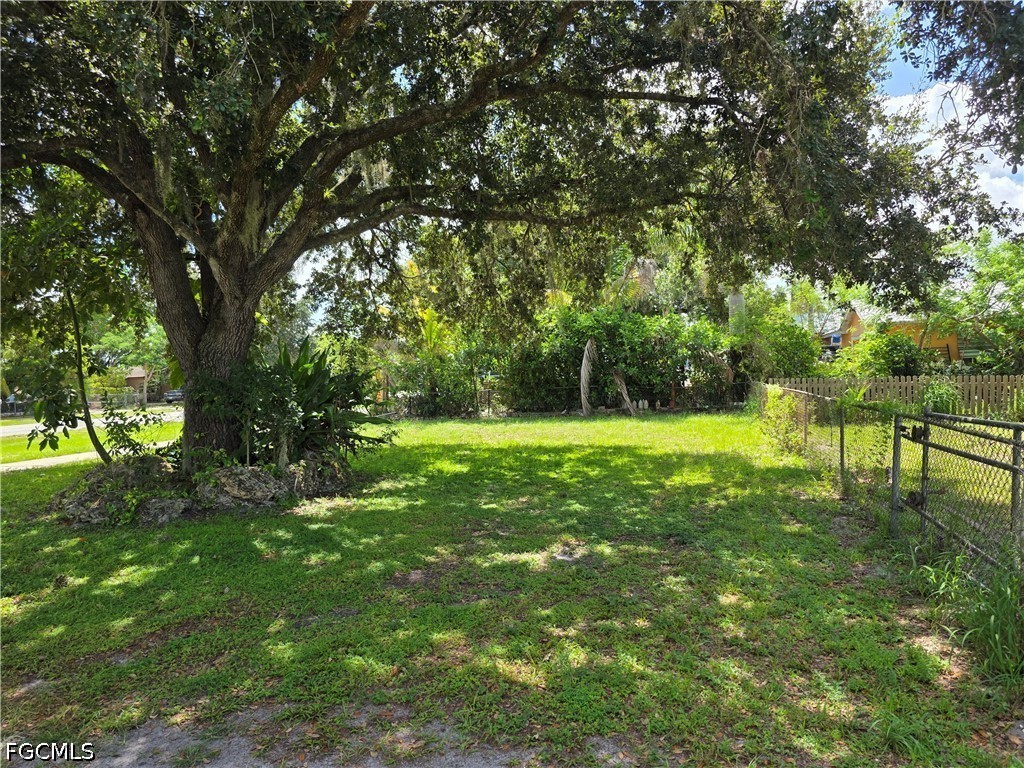 Yard