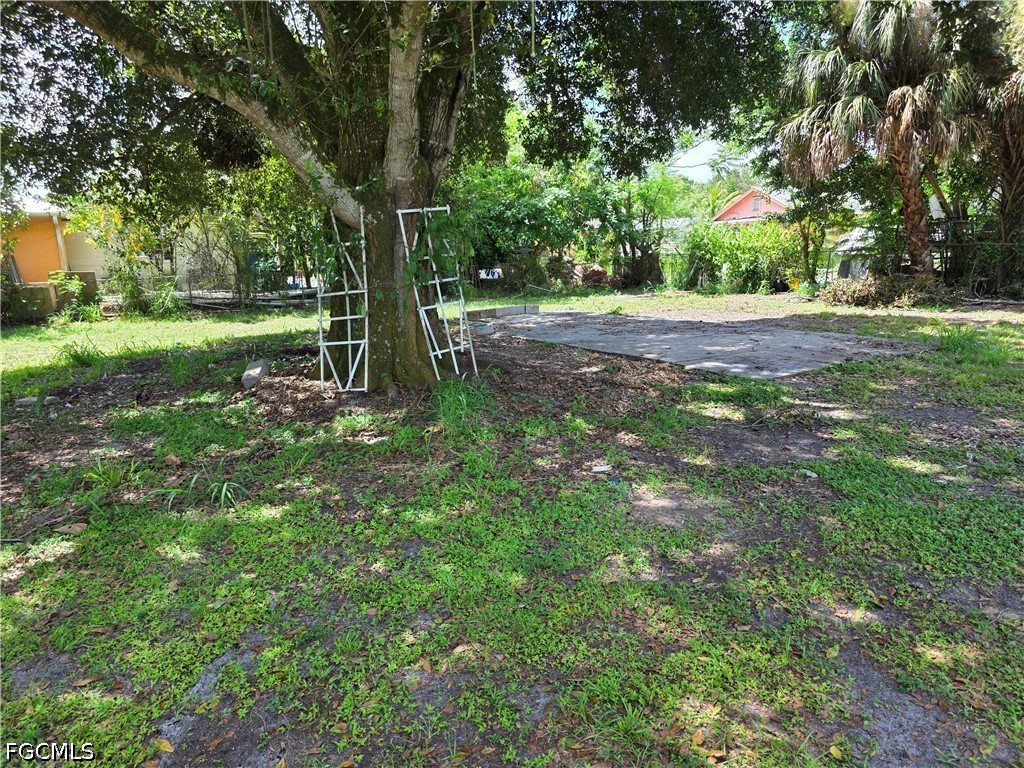 Yard
