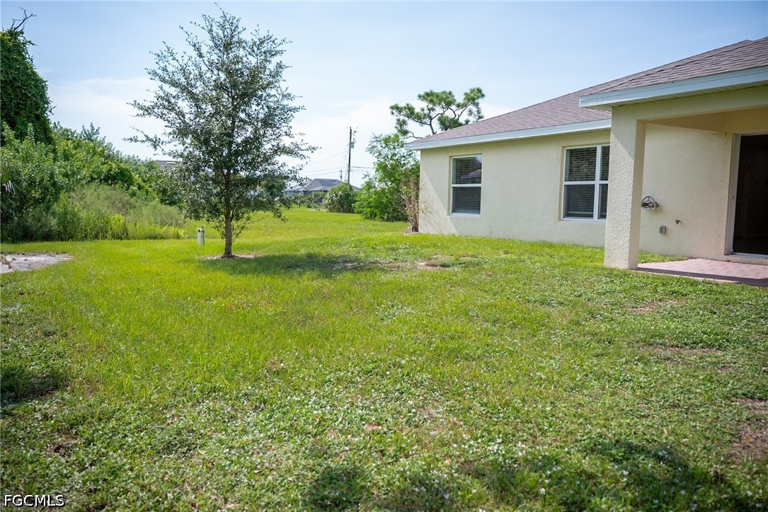 Yard