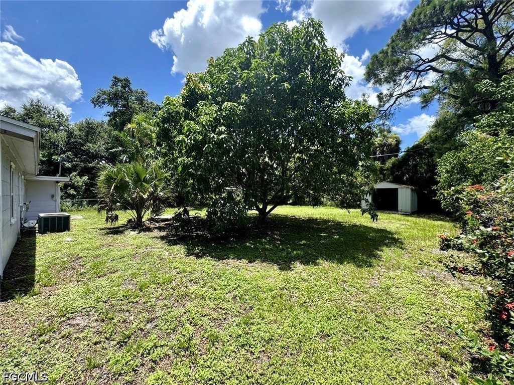Yard