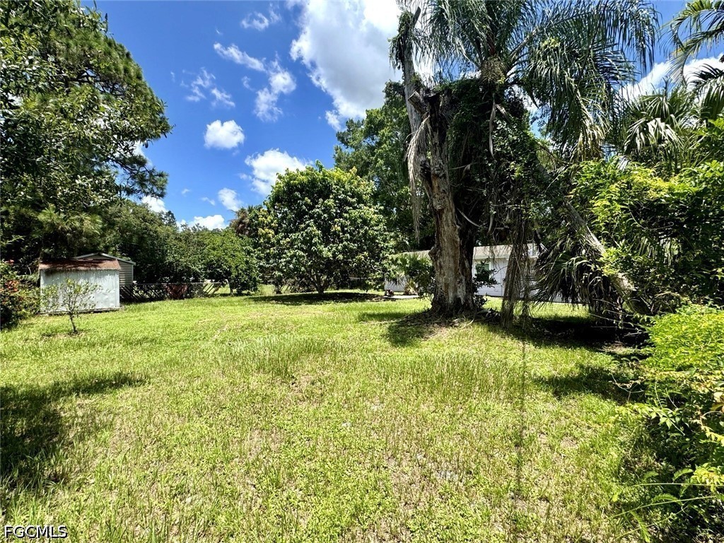 Yard