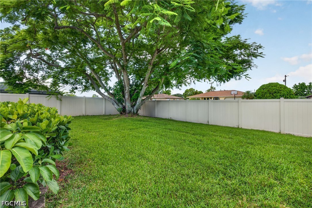 Yard