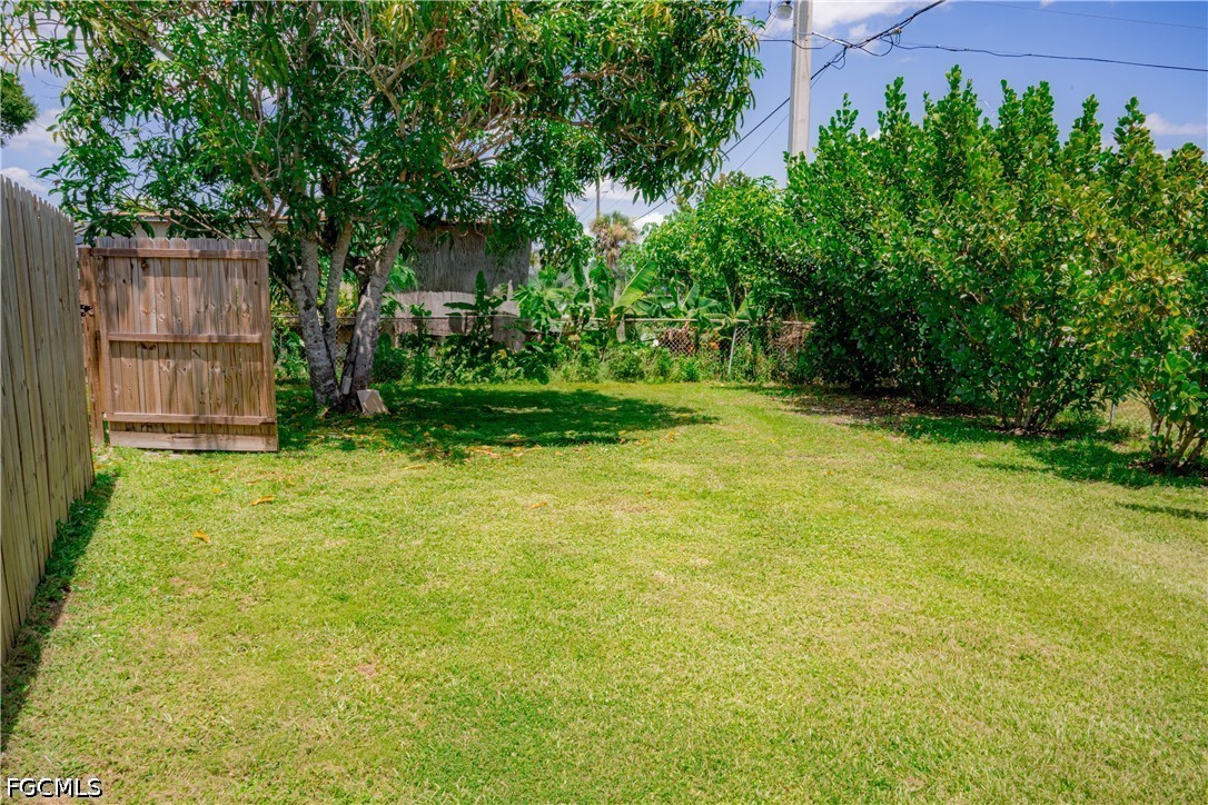 Yard