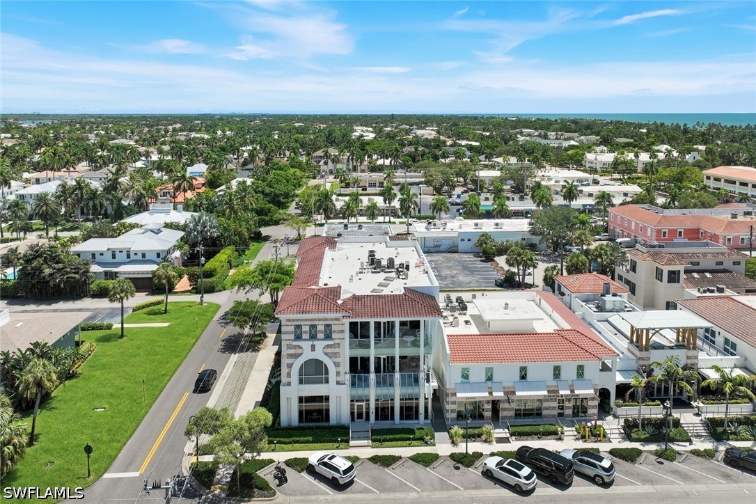 AerialView