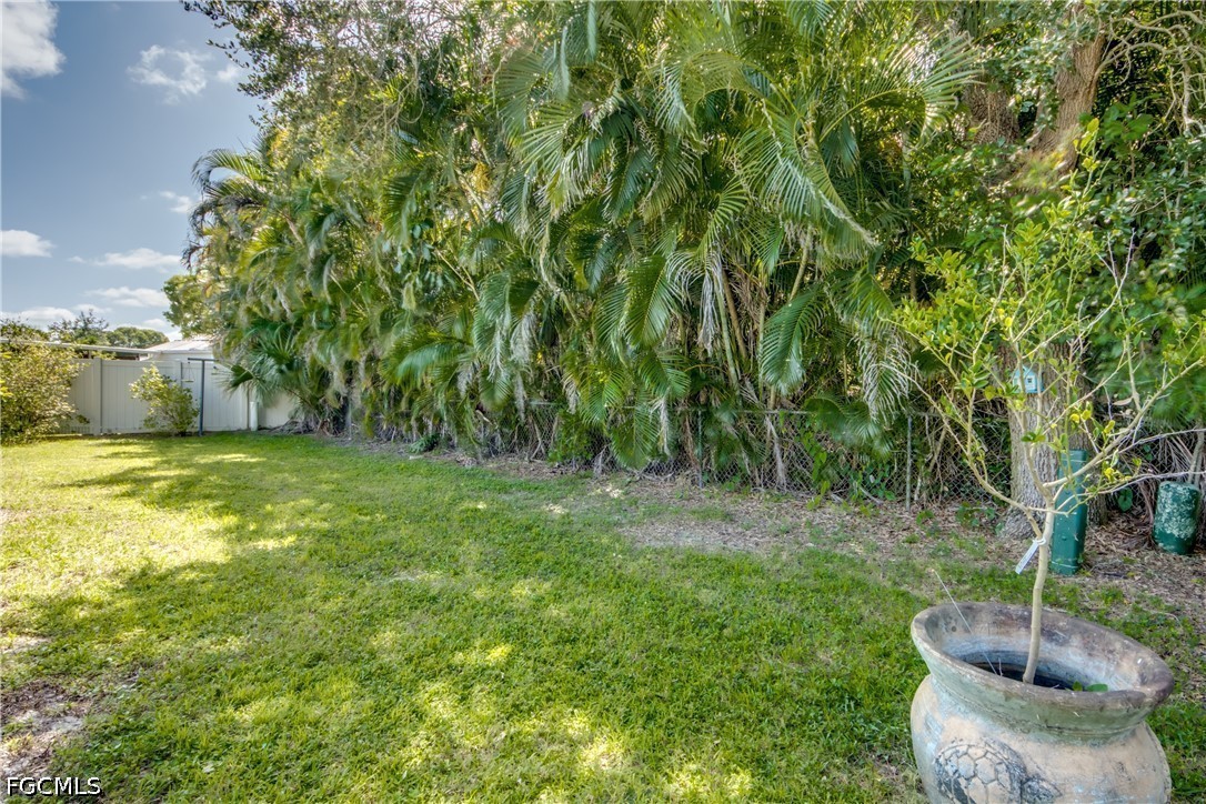 Yard