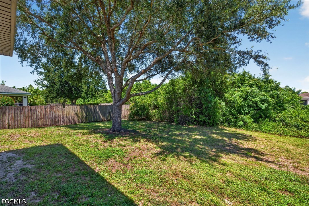 Yard