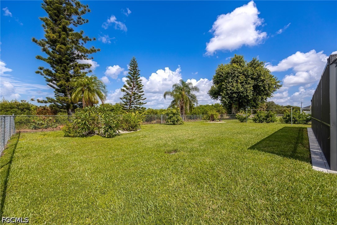 Yard