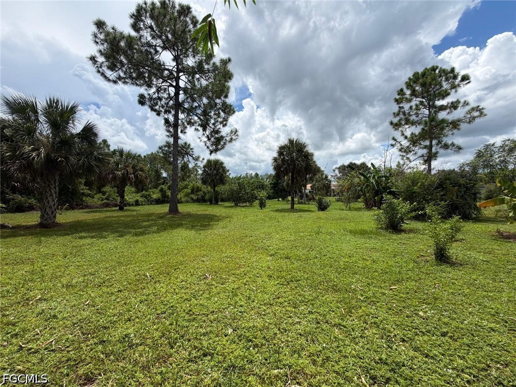 Yard