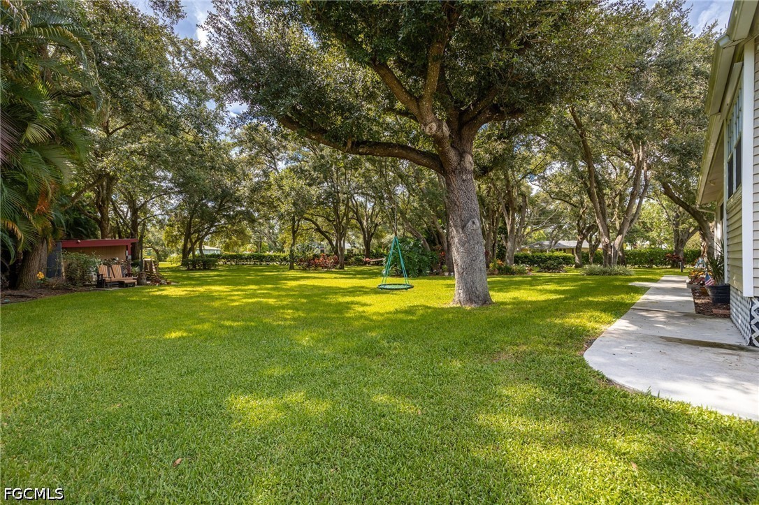 Yard
