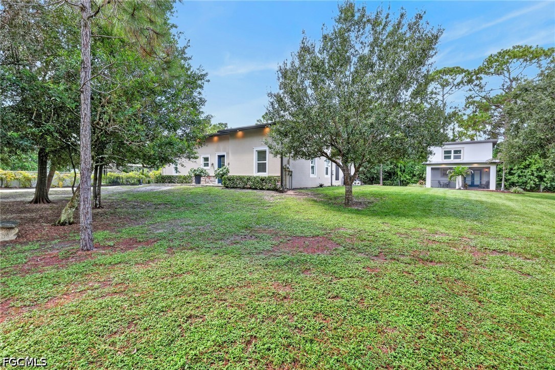 Yard