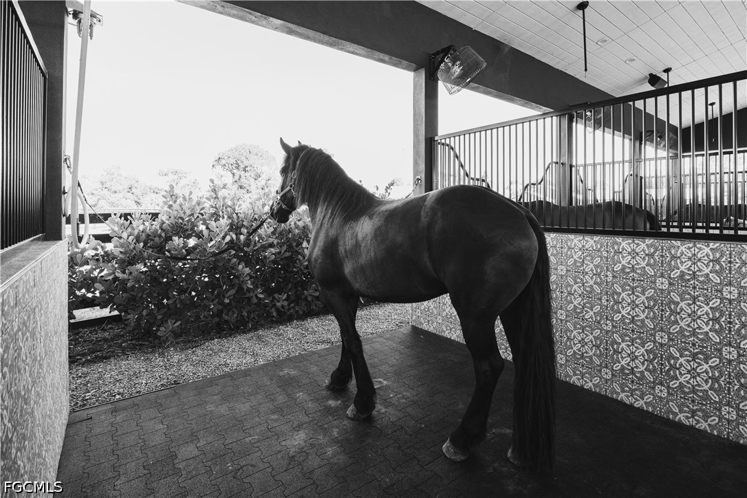 Stable