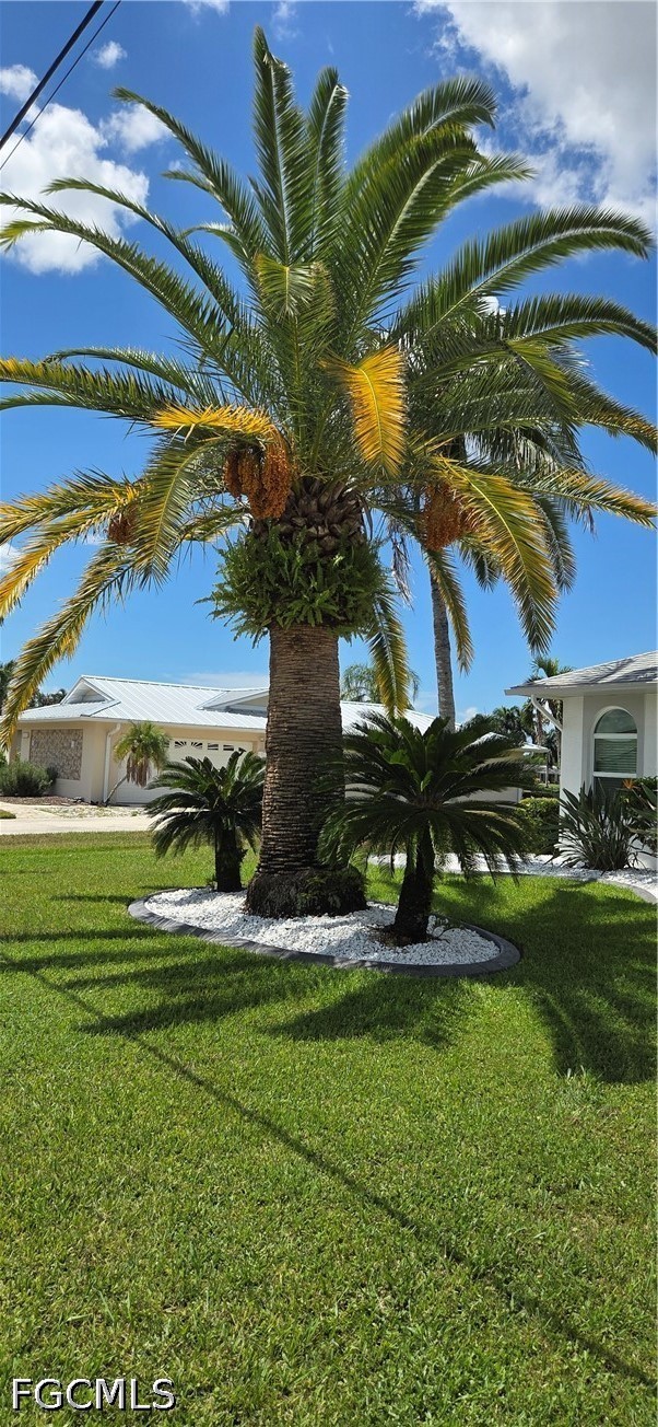 Yard