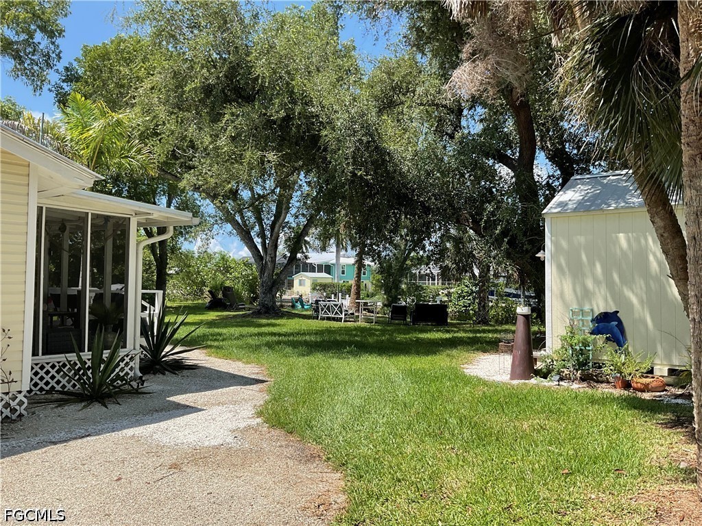 Yard