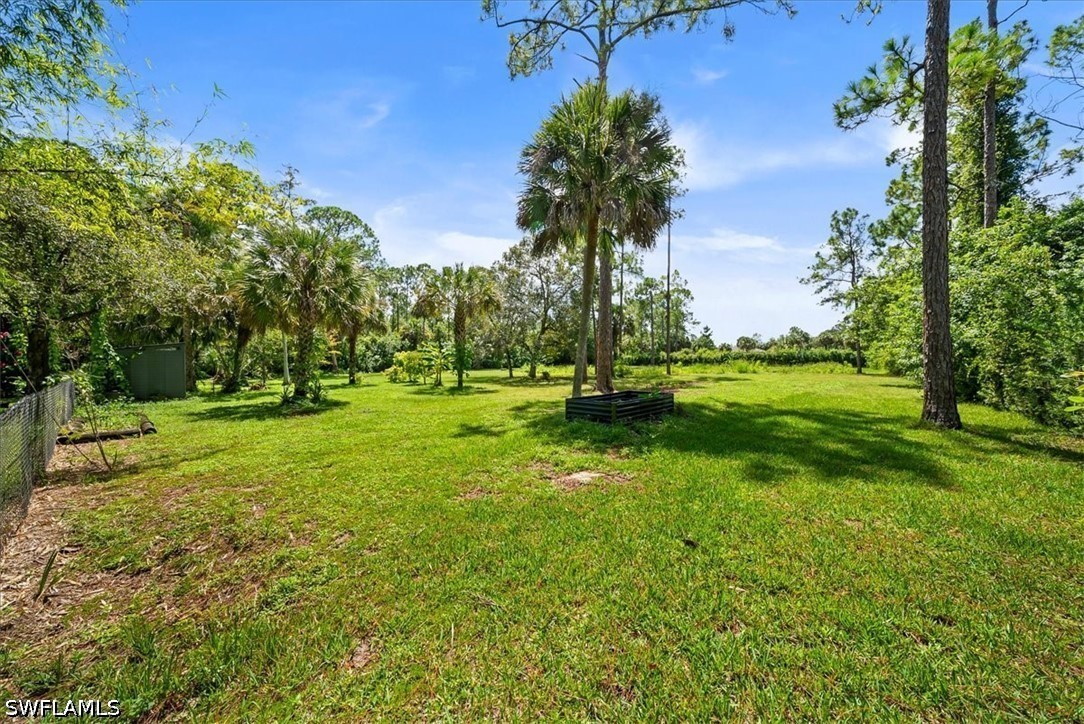 Yard