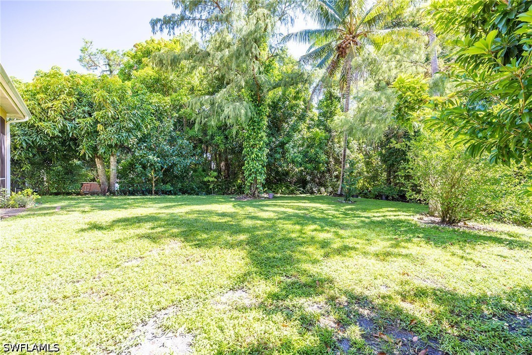 Yard