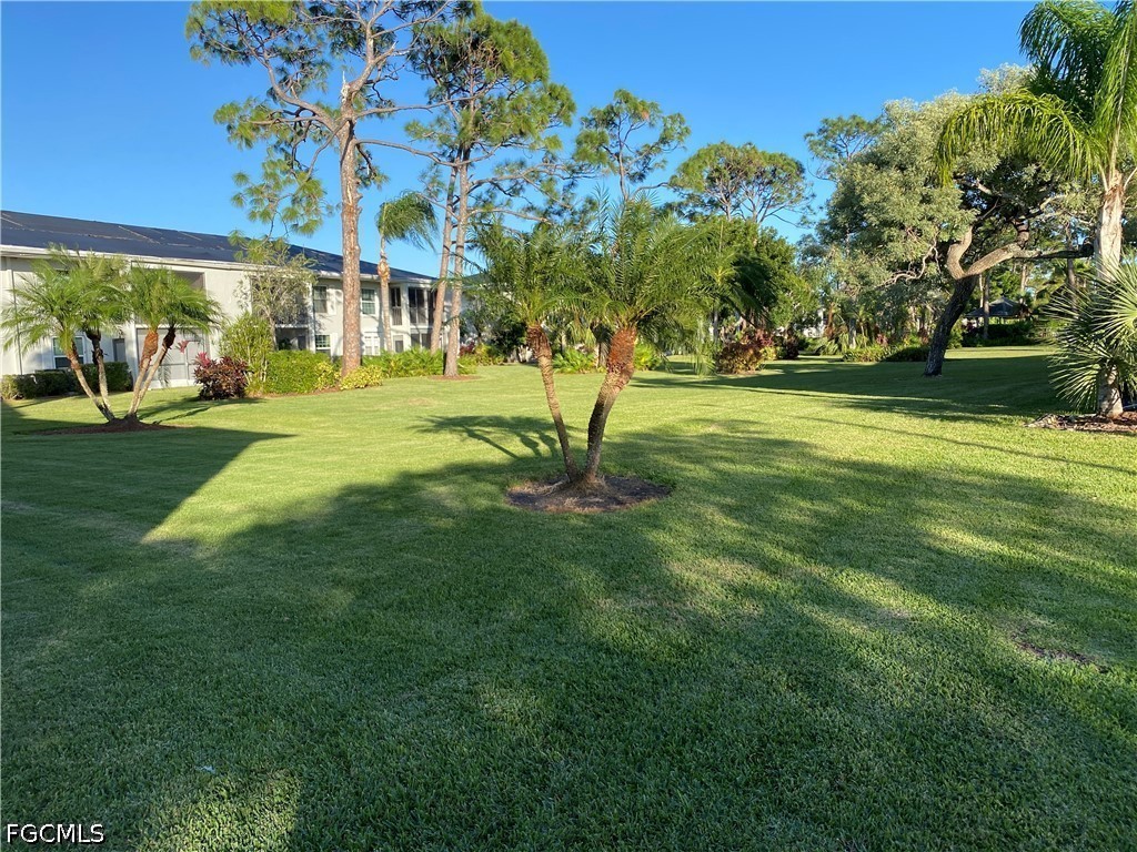 Yard