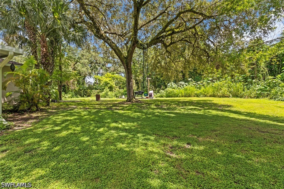 Yard