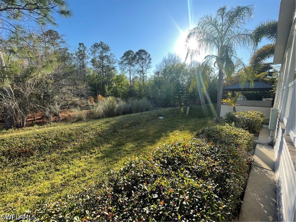 Yard