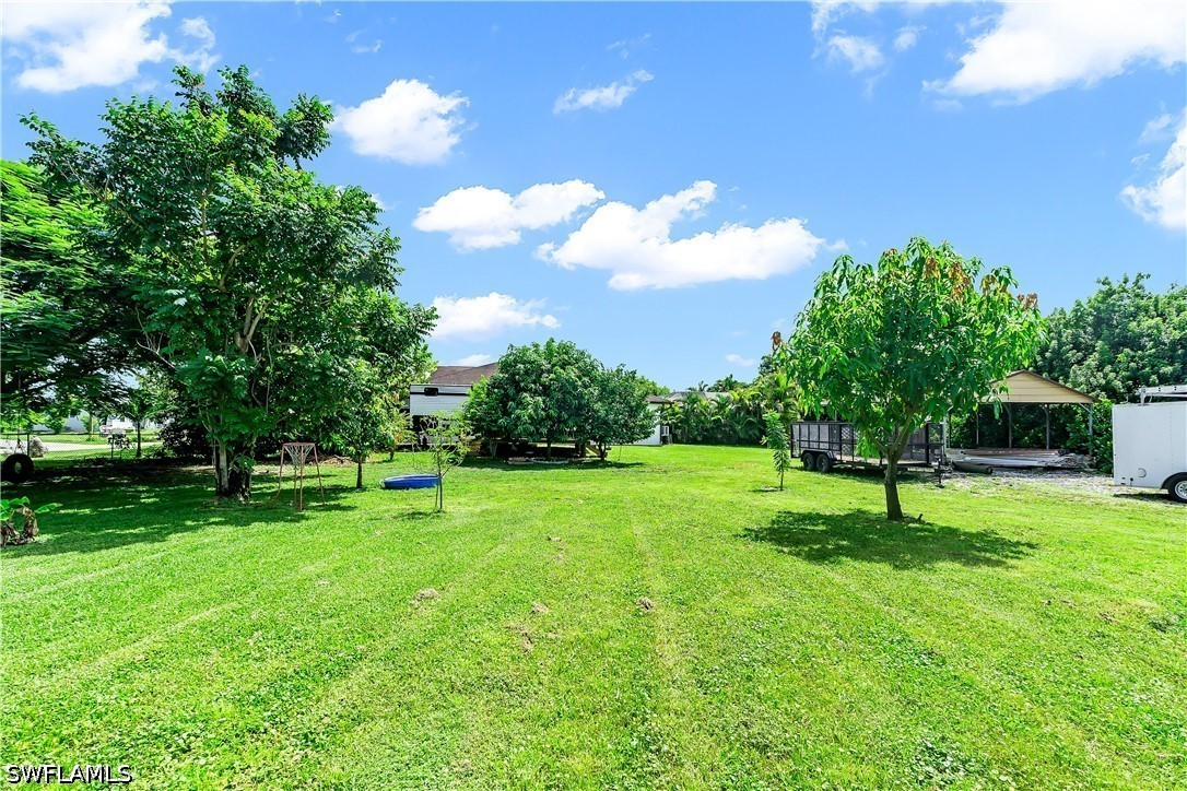 Yard