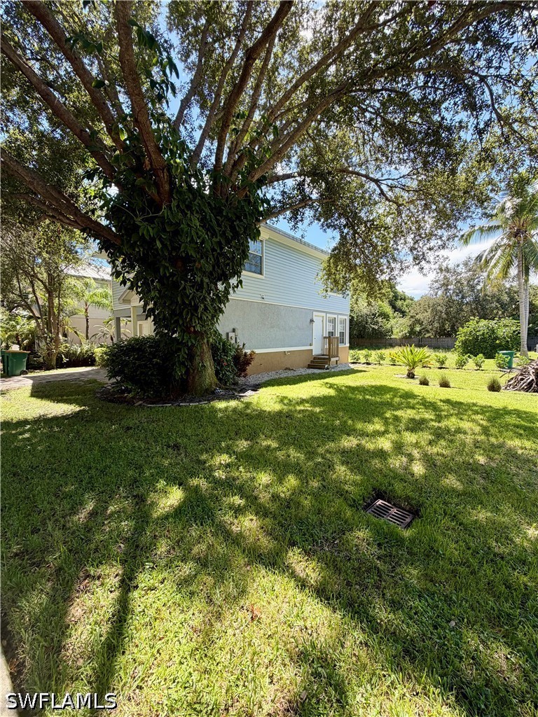 Yard