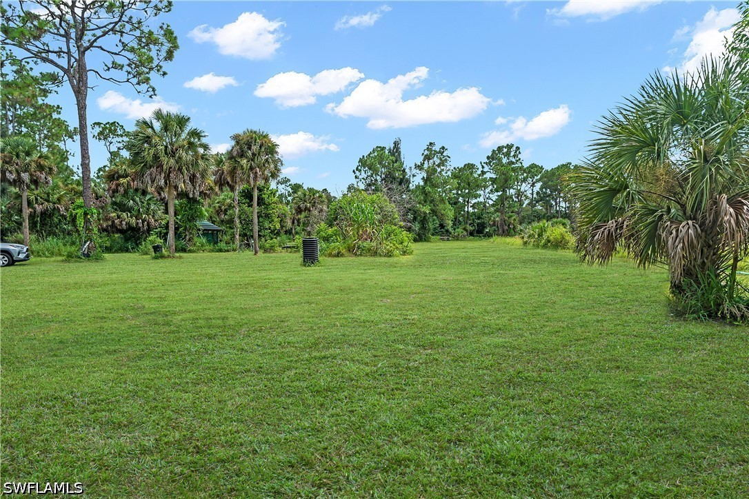 Yard
