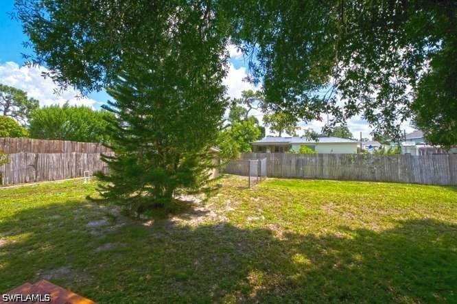 Yard