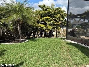 Yard
