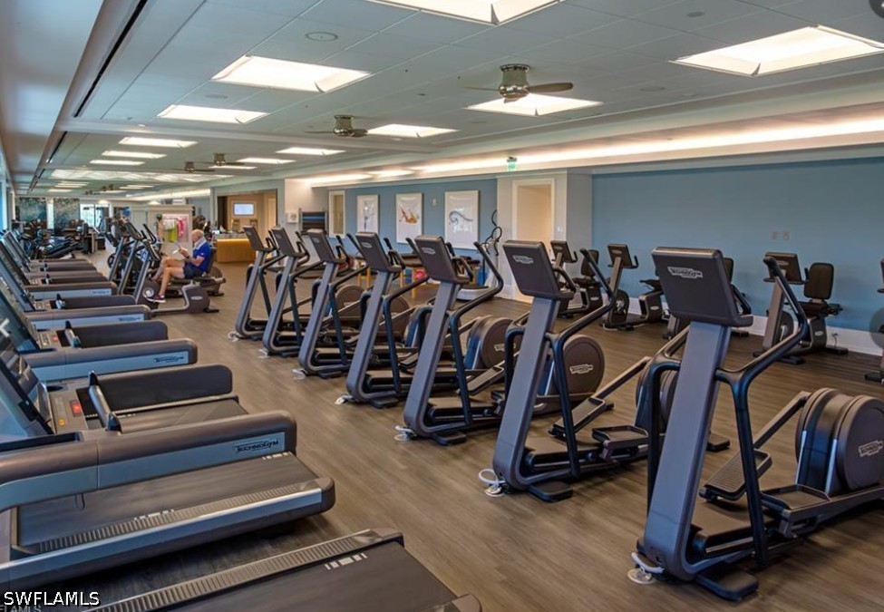 Gym